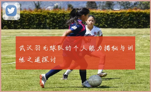 武汉羽毛球队的个人能力揭秘与训练之道探讨