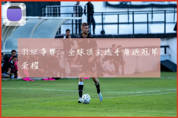 羽坛争锋：全球顶尖选手角逐冠军荣耀