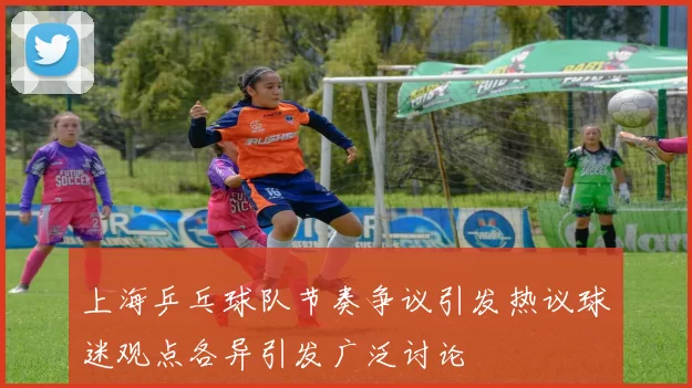 上海乒乓球队节奏争议引发热议球迷观点各异引发广泛讨论