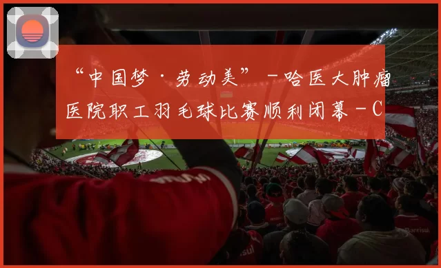 “中国梦·劳动美” - 哈医大肿瘤医院职工羽毛球比赛顺利闭幕 - Copy (2)