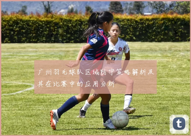 广州羽毛球队区域防守策略解析及其在比赛中的应用分析