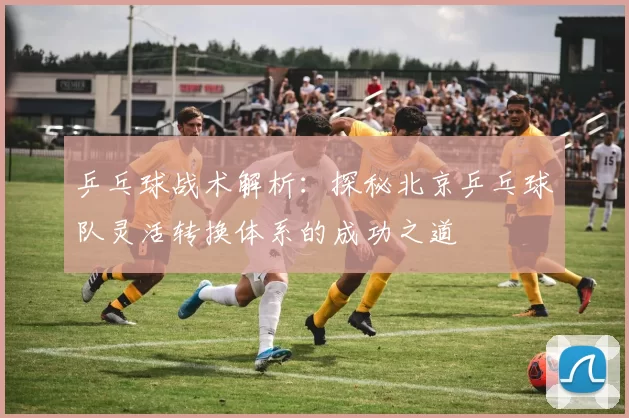 乒乓球战术解析：探秘北京乒乓球队灵活转换体系的成功之道