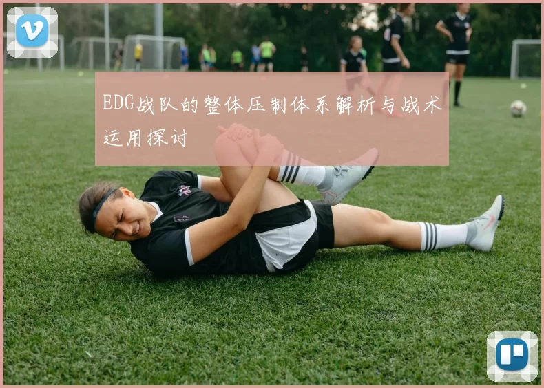 EDG战队的整体压制体系解析与战术运用探讨