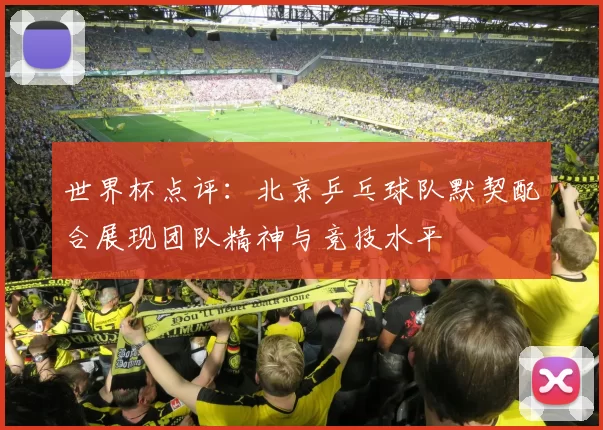 世界杯点评：北京乒乓球队默契配合展现团队精神与竞技水平