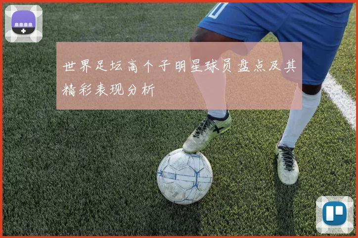 世界足坛高个子明星球员盘点及其精彩表现分析