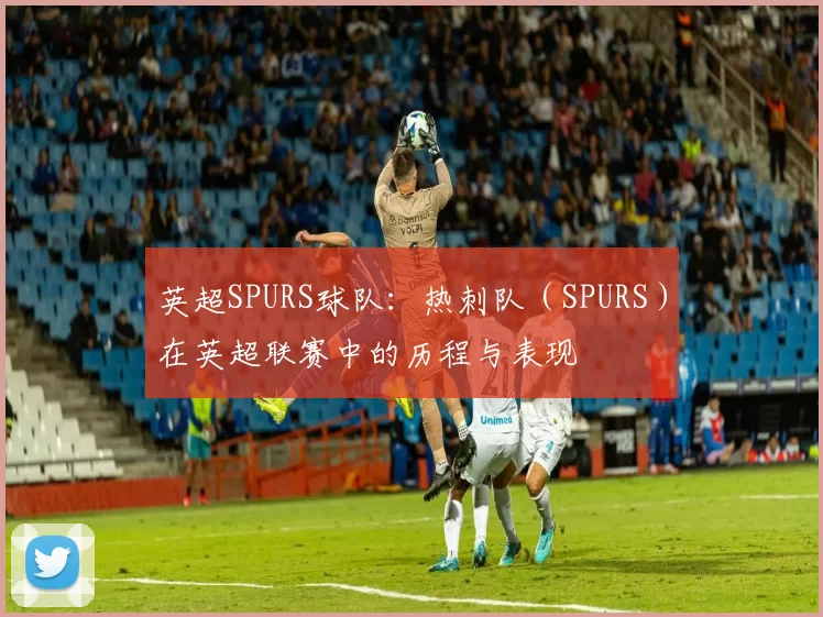 英超SPURS球队：热刺队（SPURS）在英超联赛中的历程与表现