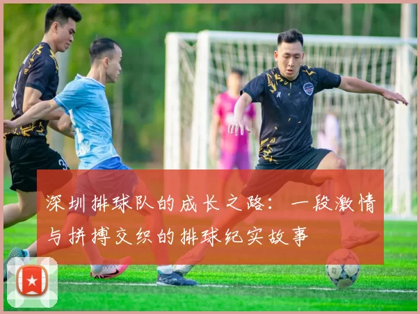 深圳排球队的成长之路：一段激情与拼搏交织的排球纪实故事
