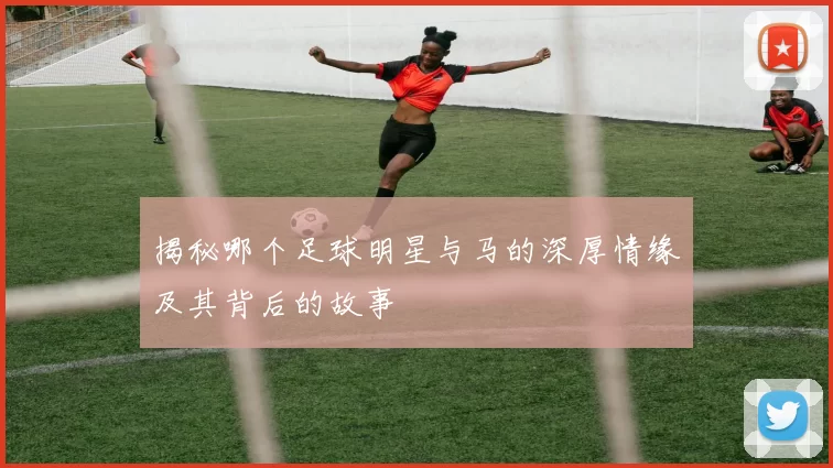揭秘哪个足球明星与马的深厚情缘及其背后的故事