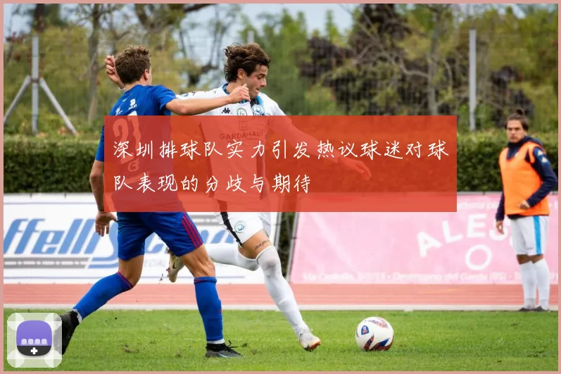 深圳排球队实力引发热议球迷对球队表现的分歧与期待