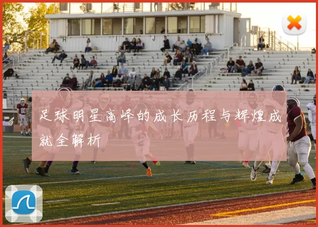 足球明星高峰的成长历程与辉煌成就全解析