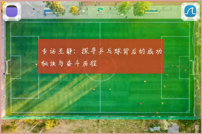 专访王静：探寻乒乓球背后的成功秘诀与奋斗历程