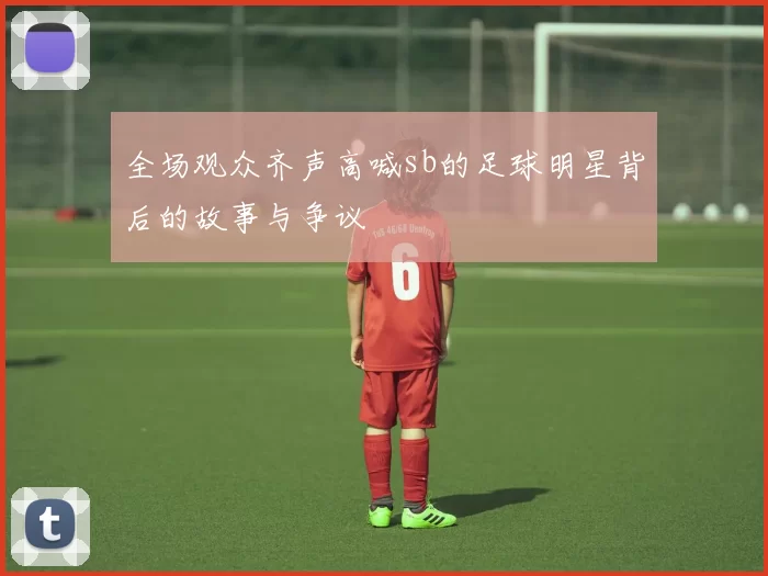 全场观众齐声高喊sb的足球明星背后的故事与争议