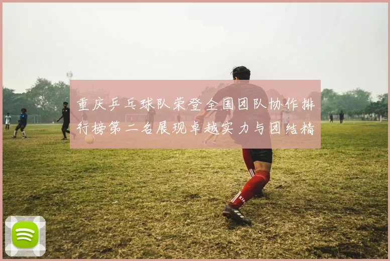 重庆乒乓球队荣登全国团队协作排行榜第二名展现卓越实力与团结精神