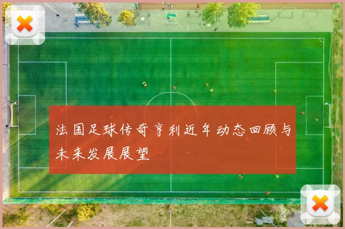 法国足球传奇亨利近年动态回顾与未来发展展望