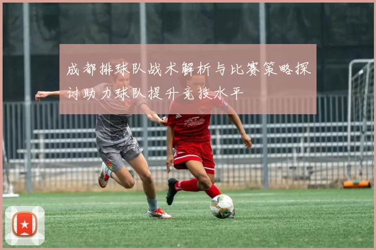 成都排球队战术解析与比赛策略探讨助力球队提升竞技水平