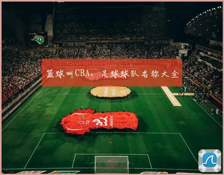 篮球叫CBA，足球球队名称大全