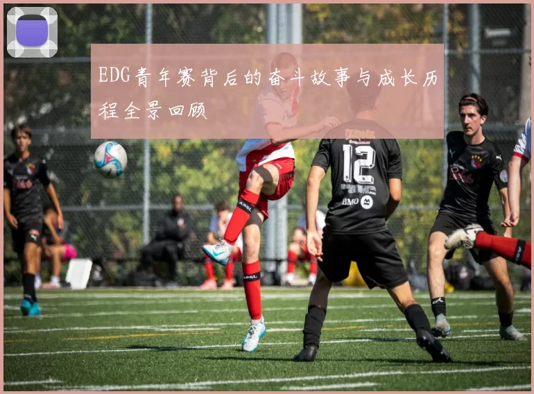 EDG青年赛背后的奋斗故事与成长历程全景回顾