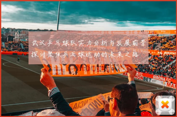 武汉乒乓球队实力分析与发展前景探讨聚焦乒乓球运动的未来之路