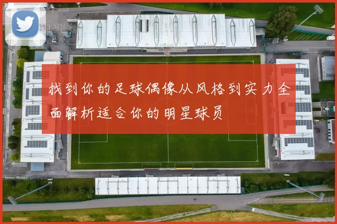 找到你的足球偶像从风格到实力全面解析适合你的明星球员