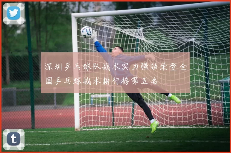 深圳乒乓球队战术实力强劲荣登全国乒乓球战术排行榜第五名