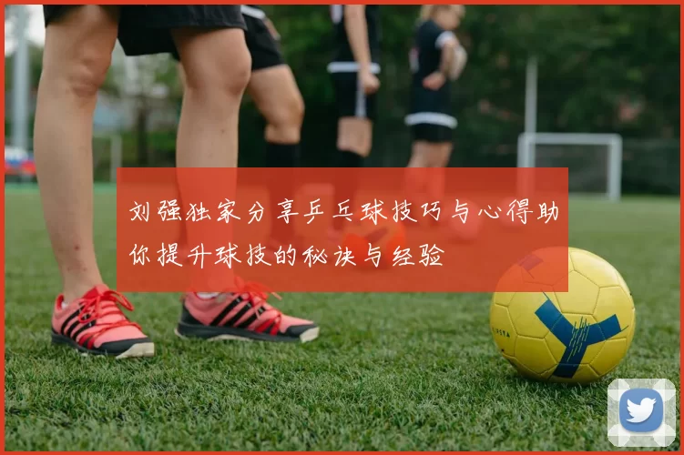 刘强独家分享乒乓球技巧与心得助你提升球技的秘诀与经验