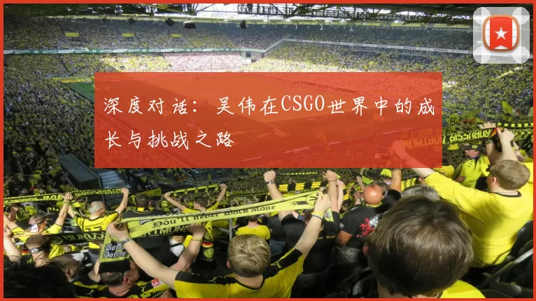 深度对话：吴伟在CSGO世界中的成长与挑战之路