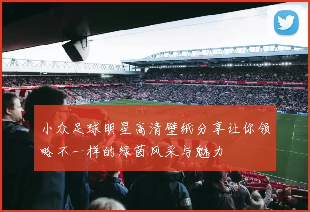 小众足球明星高清壁纸分享让你领略不一样的绿茵风采与魅力