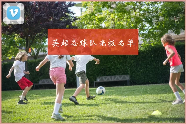 英超各球队老板名单